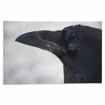 Common Raven Portrait Rugs 99955409