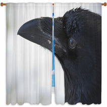 Common Raven Portrait Window Curtains 99955409