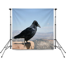 Common Raven With Bryce Canyon National Park In Background Backdrops 88774380