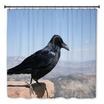 Common Raven With Bryce Canyon National Park In Background Bath Decor 88774380