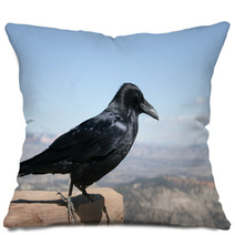 Common Raven With Bryce Canyon National Park In Background Pillows 88774380