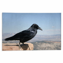 Common Raven With Bryce Canyon National Park In Background Rugs 88774380