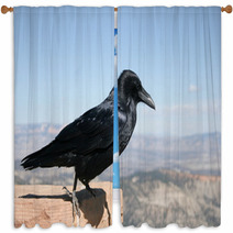 Common Raven With Bryce Canyon National Park In Background Window Curtains 88774380