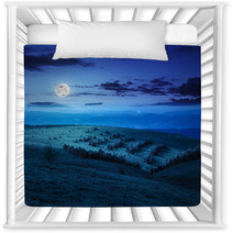 Coniferous Forest On A  Mountain Slope At Night Nursery Decor 68030074
