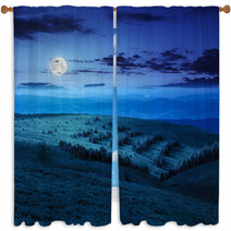 Coniferous Forest On A  Mountain Slope At Night Window Curtains 68030074