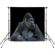 Contemplative Gorilla Backdrops 53962933