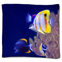 Copperband Butterfly Fish Blankets 60679011