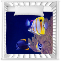 Copperband Butterfly Fish Nursery Decor 60679011