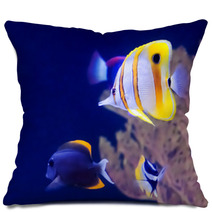 Copperband Butterfly Fish Pillows 60679011