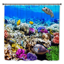 Coral And Fish In The Red Sea. Egypt, Africa. Bath Decor 47650359