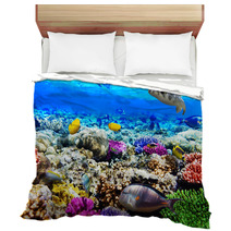 Coral And Fish In The Red Sea. Egypt, Africa. Bedding 47650359