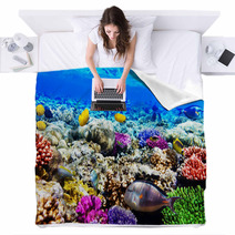 Coral And Fish In The Red Sea. Egypt, Africa. Blankets 47650359