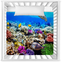 Coral And Fish In The Red Sea. Egypt, Africa. Nursery Decor 47650359
