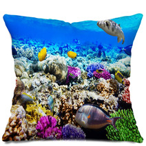 Coral And Fish In The Red Sea. Egypt, Africa. Pillows 47650359