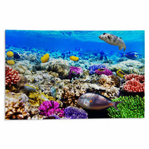 Coral And Fish In The Red Sea. Egypt, Africa. Rugs 47650359