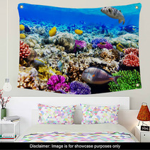 Coral And Fish In The Red Sea. Egypt, Africa. Wall Art 47650359