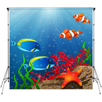 Coral Reef Backdrops 14413446