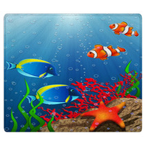 Coral Reef Rugs 14413446
