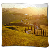 Countryside, San Quirico D`Orcia , Tuscany, Italy Blankets 65618968