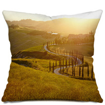 Countryside, San Quirico D`Orcia , Tuscany, Italy Pillows 65618968