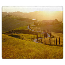 Countryside, San Quirico D`Orcia , Tuscany, Italy Rugs 65618968