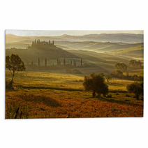 Countryside, San Quirico D`Orcia , Tuscany, Italy Rugs 67952145