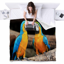 Couple Blue-and-yellow Macaws (Ara Ararauna) Blankets 46957295