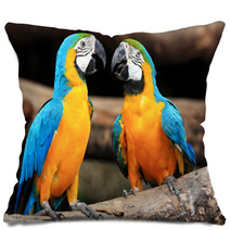 Couple Blue-and-yellow Macaws (Ara Ararauna) Pillows 46957295