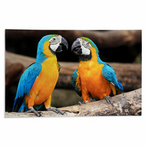 Couple Blue-and-yellow Macaws (Ara Ararauna) Rugs 46957295