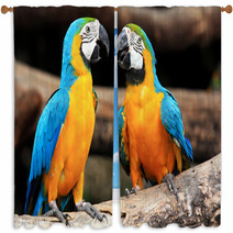 Couple Blue-and-yellow Macaws (Ara Ararauna) Window Curtains 46957295