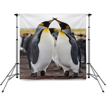 Couple King Penguins Backdrops 50922420