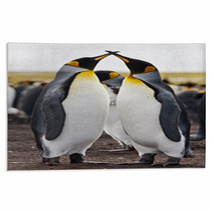 Couple King Penguins Rugs 50922420