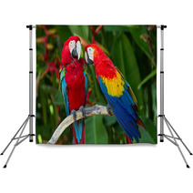 Couple Of Green-Winged And Scarlet Macaws In Nature Surrounding Backdrops 43970014