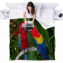 Couple Of Green-Winged And Scarlet Macaws In Nature Surrounding Blankets 43970014