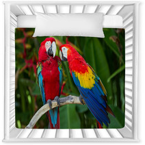 Couple Of Green-Winged And Scarlet Macaws In Nature Surrounding Nursery Decor 43970014