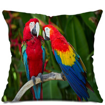 Couple Of Green-Winged And Scarlet Macaws In Nature Surrounding Pillows 43970014