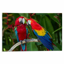 Couple Of Green-Winged And Scarlet Macaws In Nature Surrounding Rugs 43970014