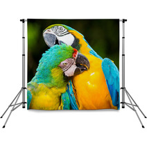 Couple Of Macaw Parrots In Nature Backdrops 66228367