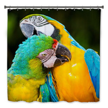Couple Of Macaw Parrots In Nature Bath Decor 66228367