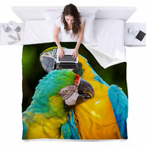 Couple Of Macaw Parrots In Nature Blankets 66228367