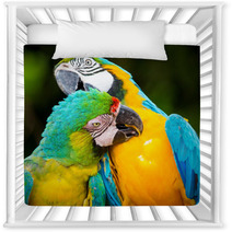 Couple Of Macaw Parrots In Nature Nursery Decor 66228367