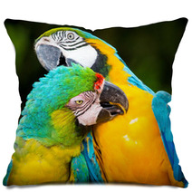 Couple Of Macaw Parrots In Nature Pillows 66228367