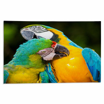 Couple Of Macaw Parrots In Nature Rugs 66228367