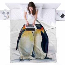 Couple Of Penguins Blankets 55220722
