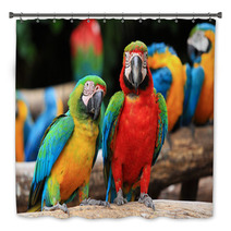 Couple Scarlet Macaw And Blue-and-yellow Macaw (Ara Ararauna Bath Decor 46957449