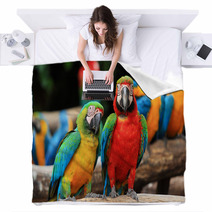 Couple Scarlet Macaw And Blue-and-yellow Macaw (Ara Ararauna Blankets 46957449