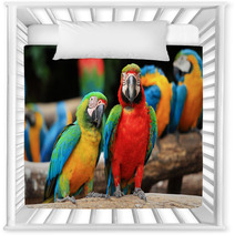 Couple Scarlet Macaw And Blue-and-yellow Macaw (Ara Ararauna Nursery Decor 46957449