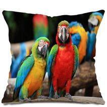 Couple Scarlet Macaw And Blue-and-yellow Macaw (Ara Ararauna Pillows 46957449