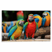 Couple Scarlet Macaw And Blue-and-yellow Macaw (Ara Ararauna Rugs 46957449