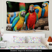 Couple Scarlet Macaw And Blue-and-yellow Macaw (Ara Ararauna Wall Art 46957449